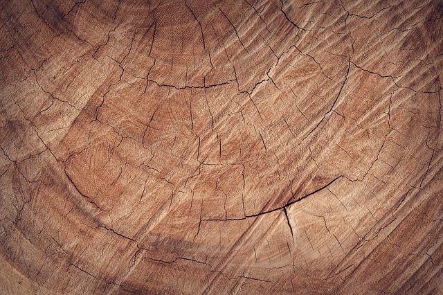 Sternbrætets historie: Fra træ til moderne materialer
